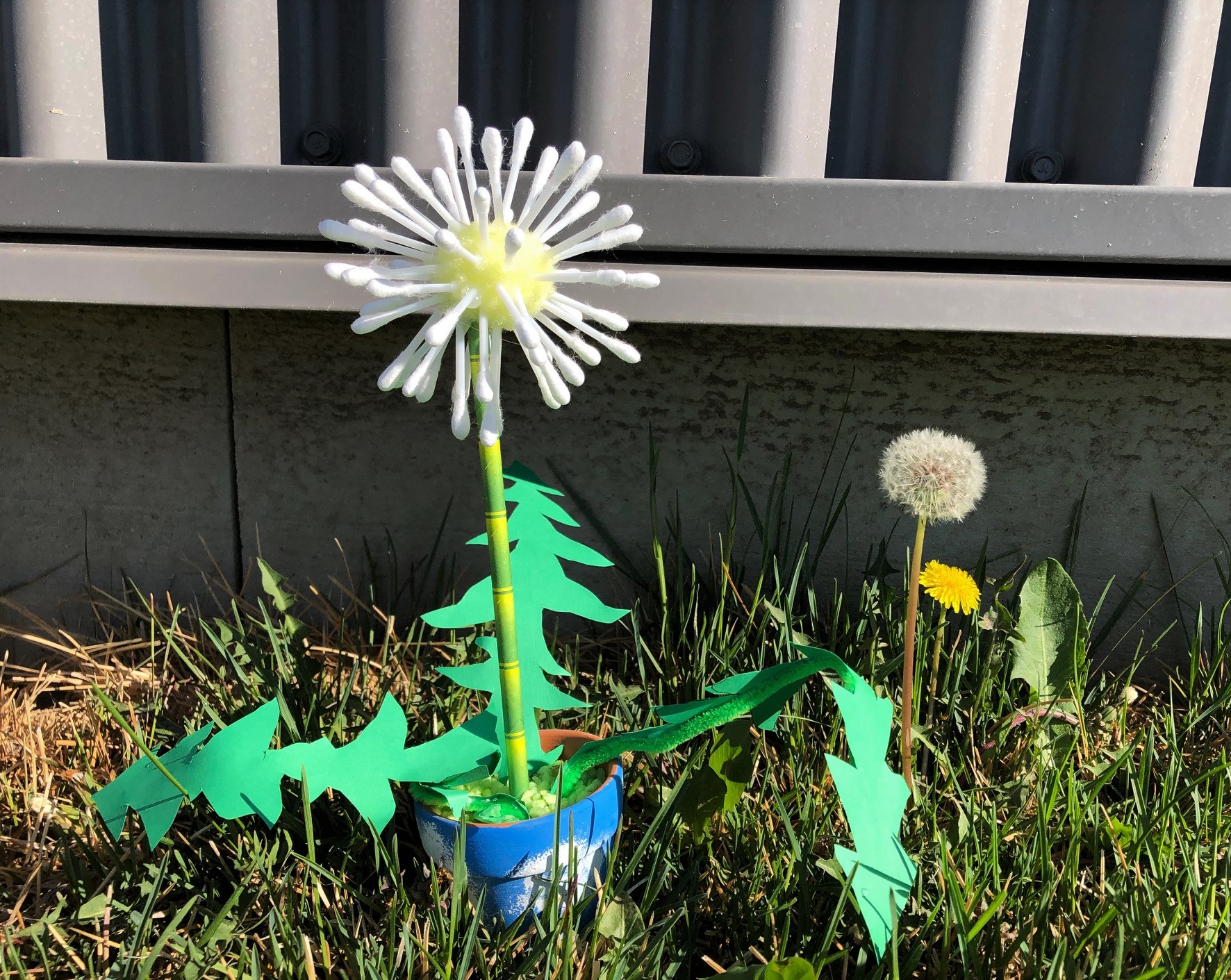 COVID Crafting with Parks & Rec - Dandelion Wish Craft
